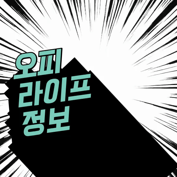 공식 안내